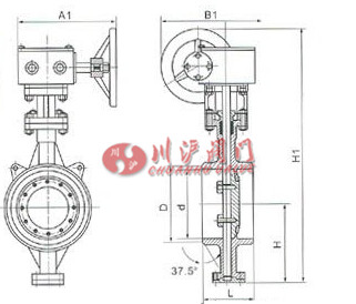 焊接蝶閥結構圖